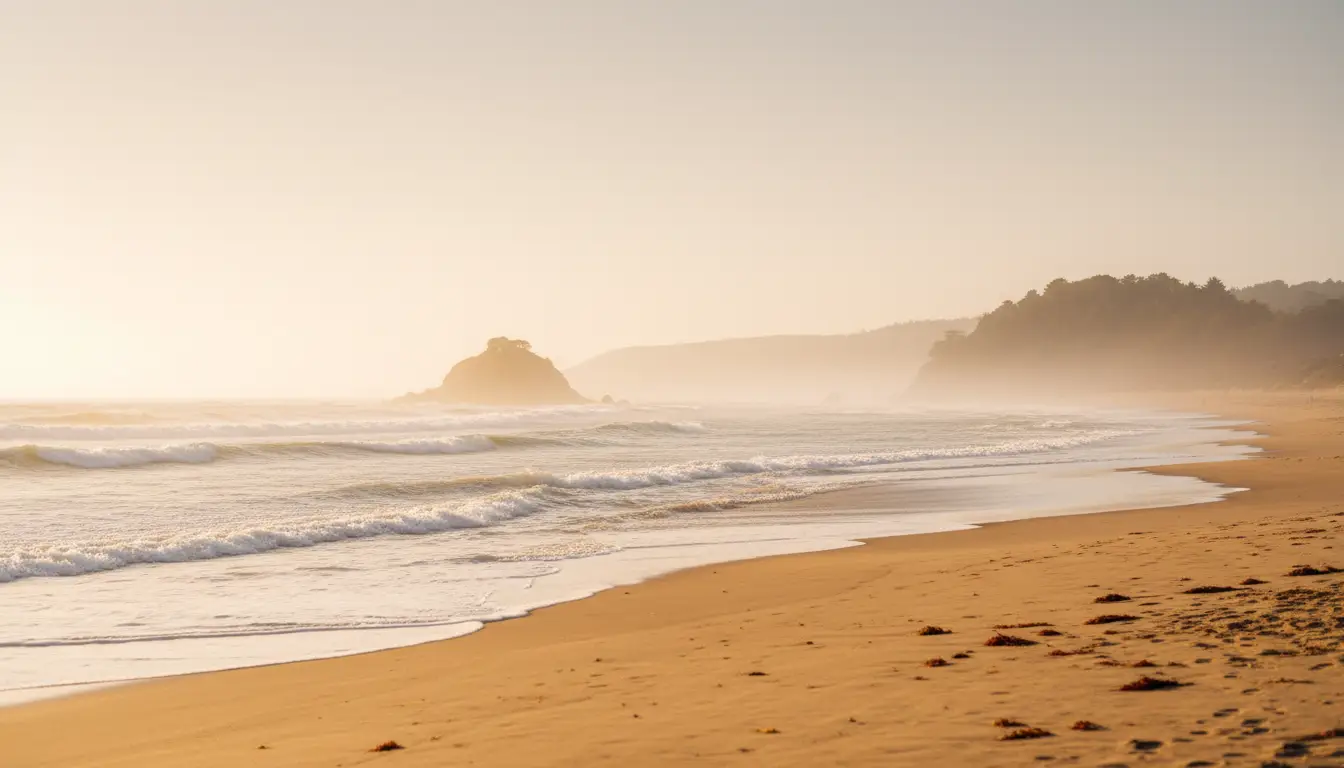 Beginner Lessons: First-time surfer programs: soft-tops, push-ins, water-safety basics, and standing-up clinics.