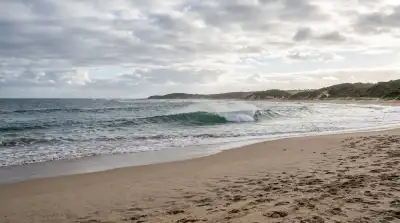 Shortboard