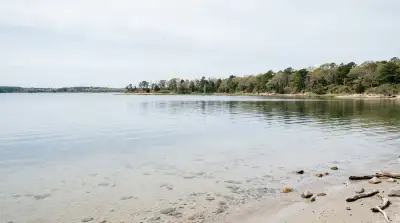 SUP